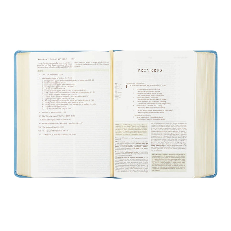 ESV Study Bible: Bethany Theme