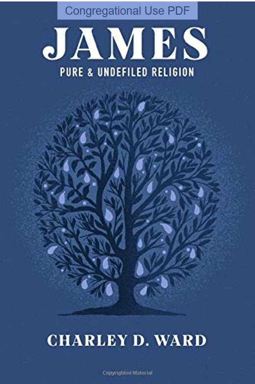 James: Pure and Undefiled Religion
