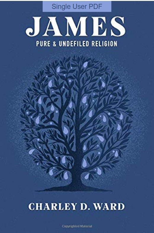 James: Pure and Undefiled Religion