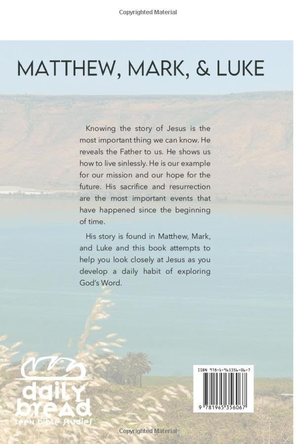 Life Of Christ: The Synoptic Gospels (Teen)