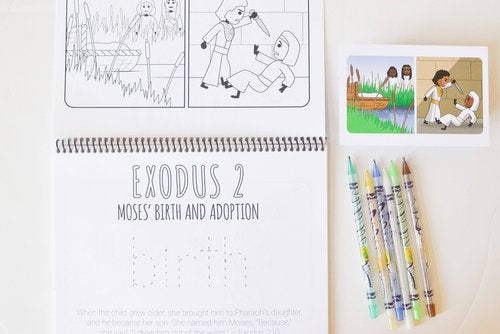 Creation To Revelation: Mommy & Me Little Gleaner Workbooks: Exodus & Leviticus