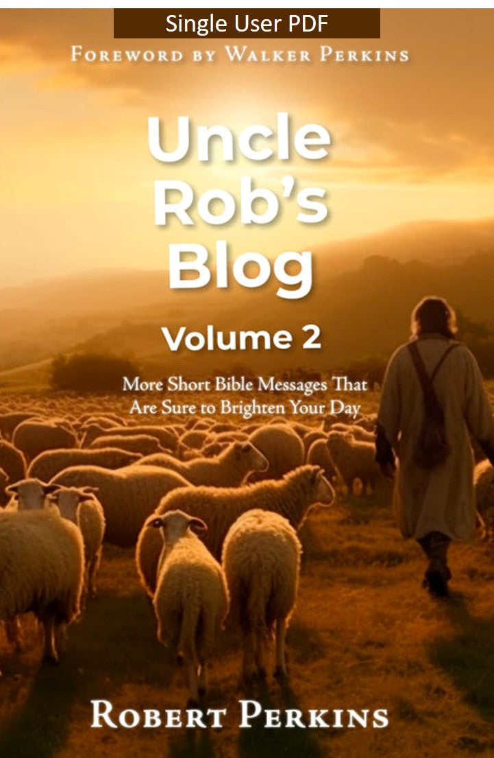 Uncle Rob's Blog Volume 2