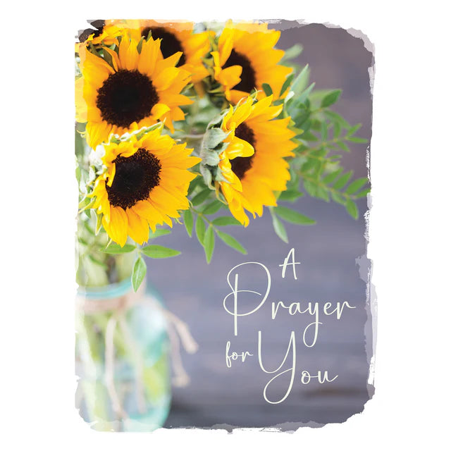 Boxed Cards - Get Well: Sunflowers