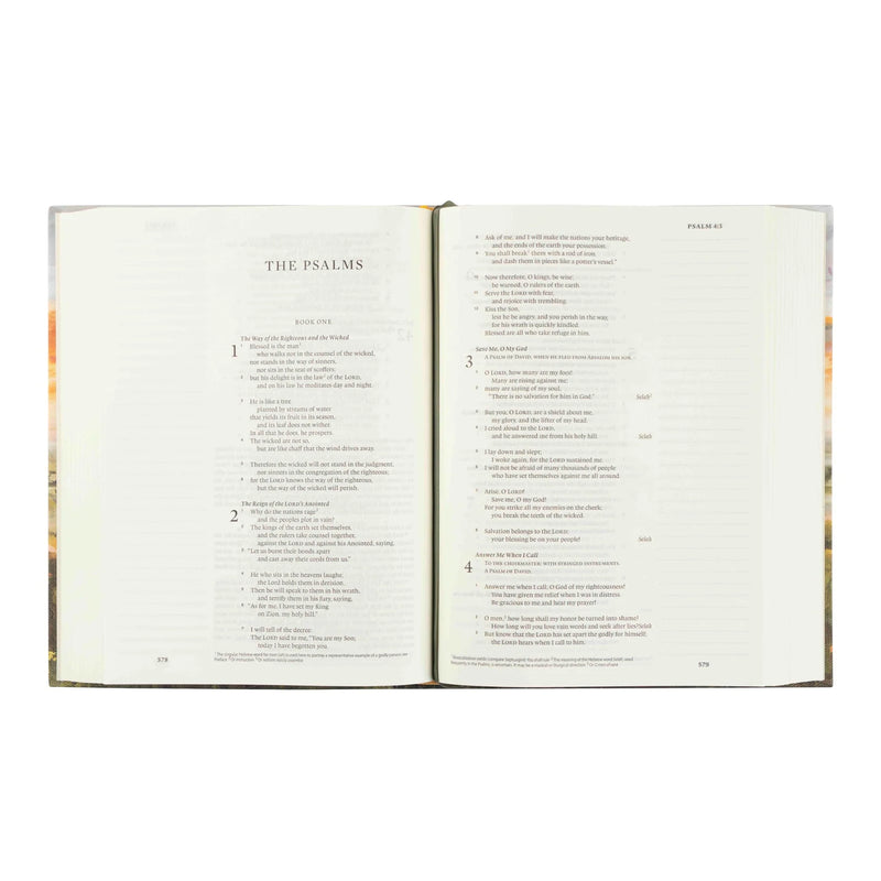 ESV Journaling Bible: Florence Theme (top, due 01/2026)