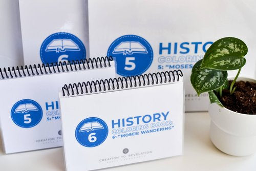 Creation To Revelation: History Pack 4: Moses: Wandering Mini Coloring Book
