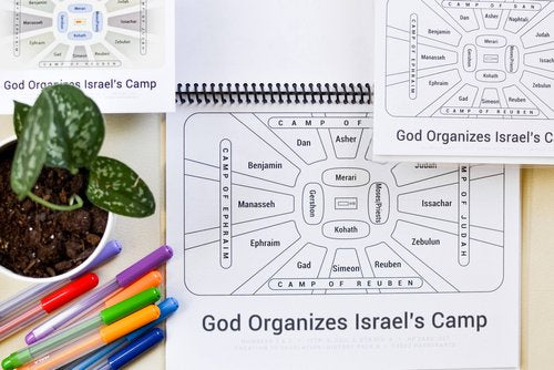 Creation To Revelation: History Pack 5: Moses: Law at Sinai Mini Coloring Book