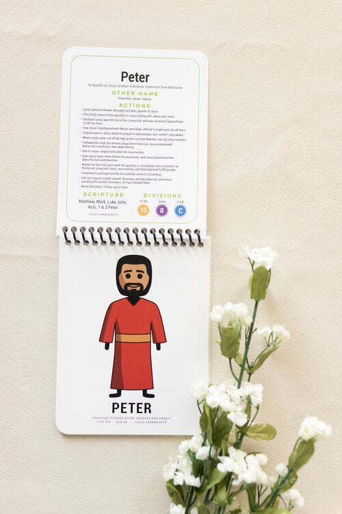 Creation To Revelation: Generations Groups Spirals: Apostles