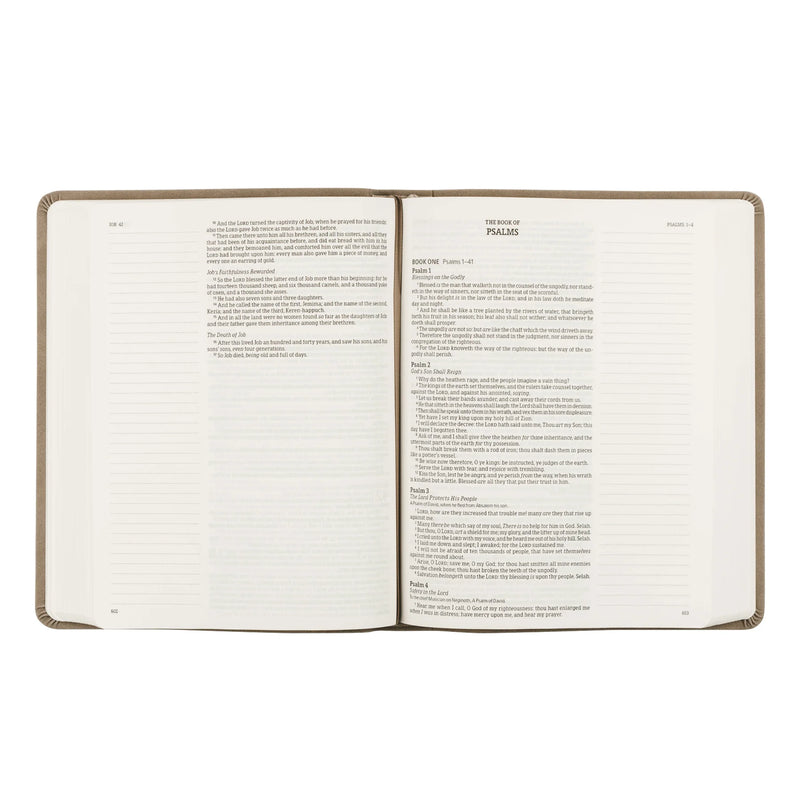 KJV Large Print Notetaking Bible: Marlo Theme