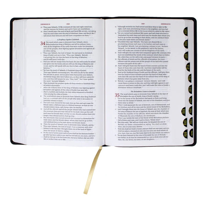 Legacy Standard Handy Size Bible, Red Letter Edition Black Faux Leather Indexed