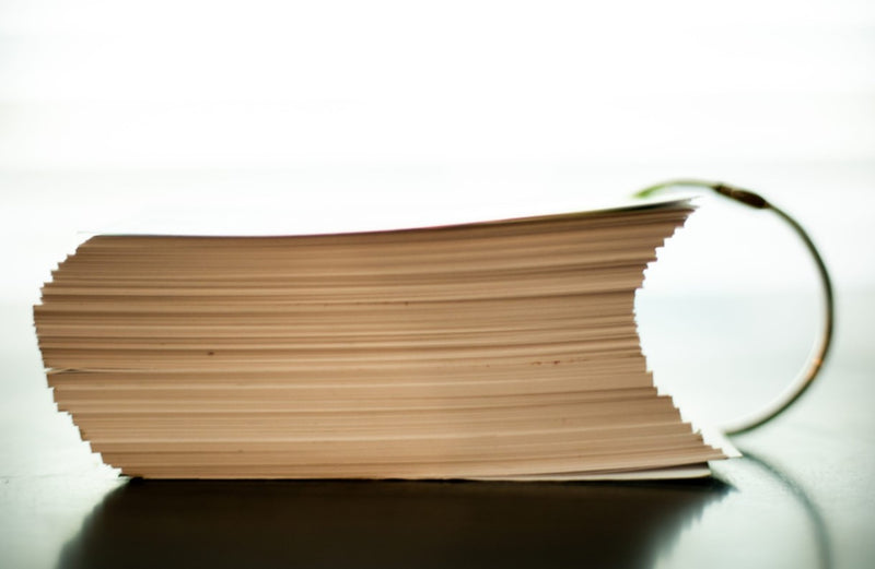 Shaping Hearts General Bible Facts Old & New Testament Flash Cards