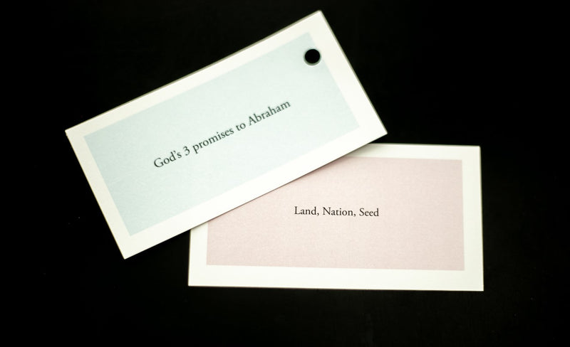 Shaping Hearts General Bible Facts Old & New Testament Flash Cards