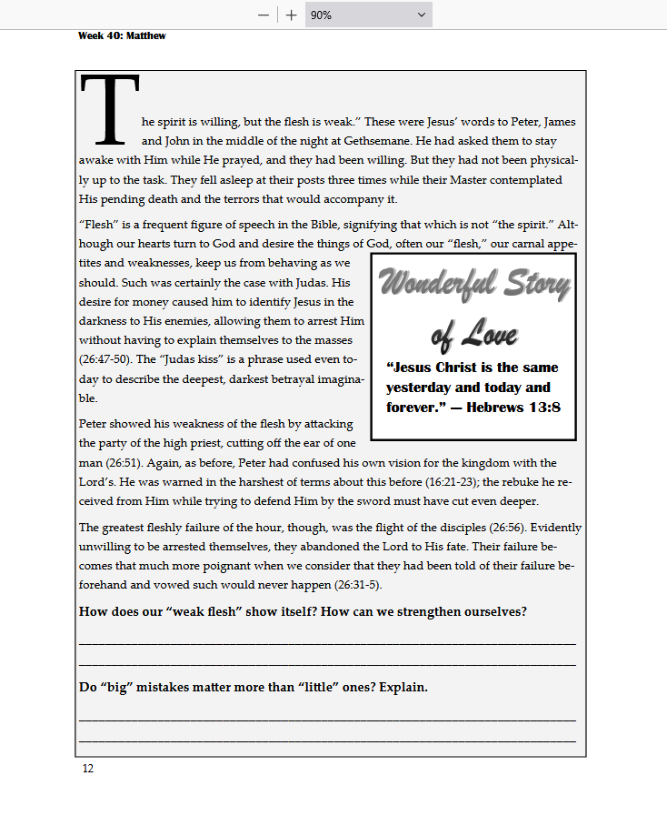 Twenty Pages a Week: Vol. 4 - The Gospel (Matthew-Revelation)