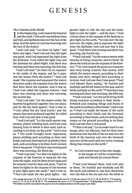 ESV Thinline Bible Trutone Brown/Cordovan