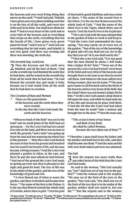 ESV Thinline Bible, Espresso TruTone