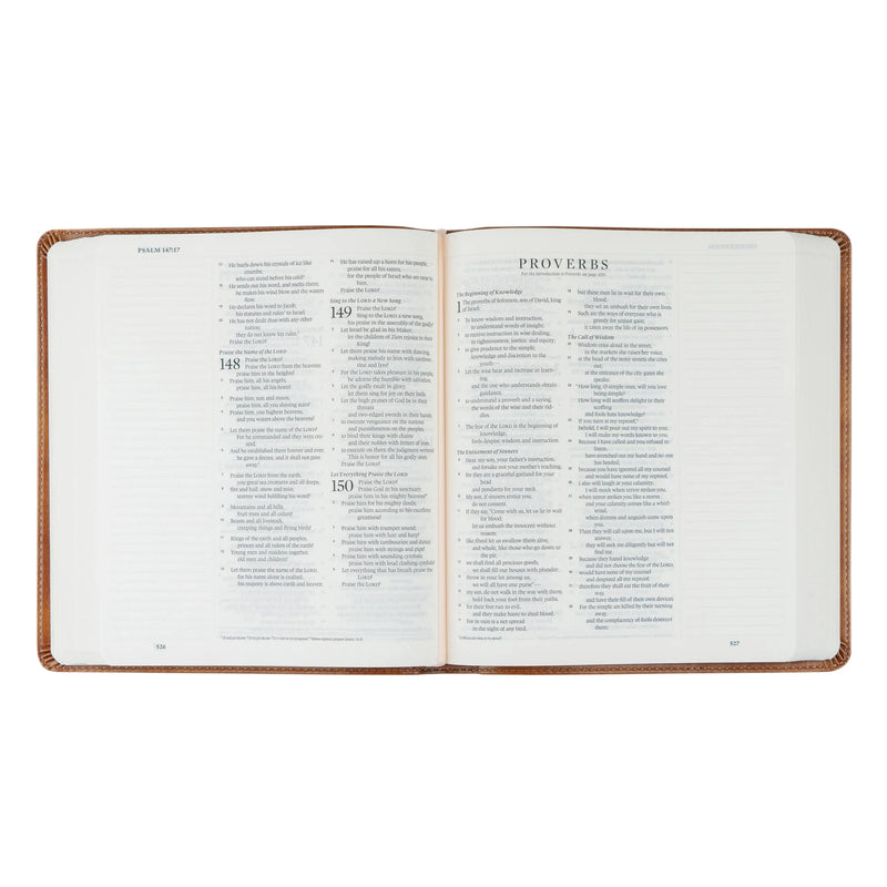 ESV Double Column Journaling Bible: Sierra Theme