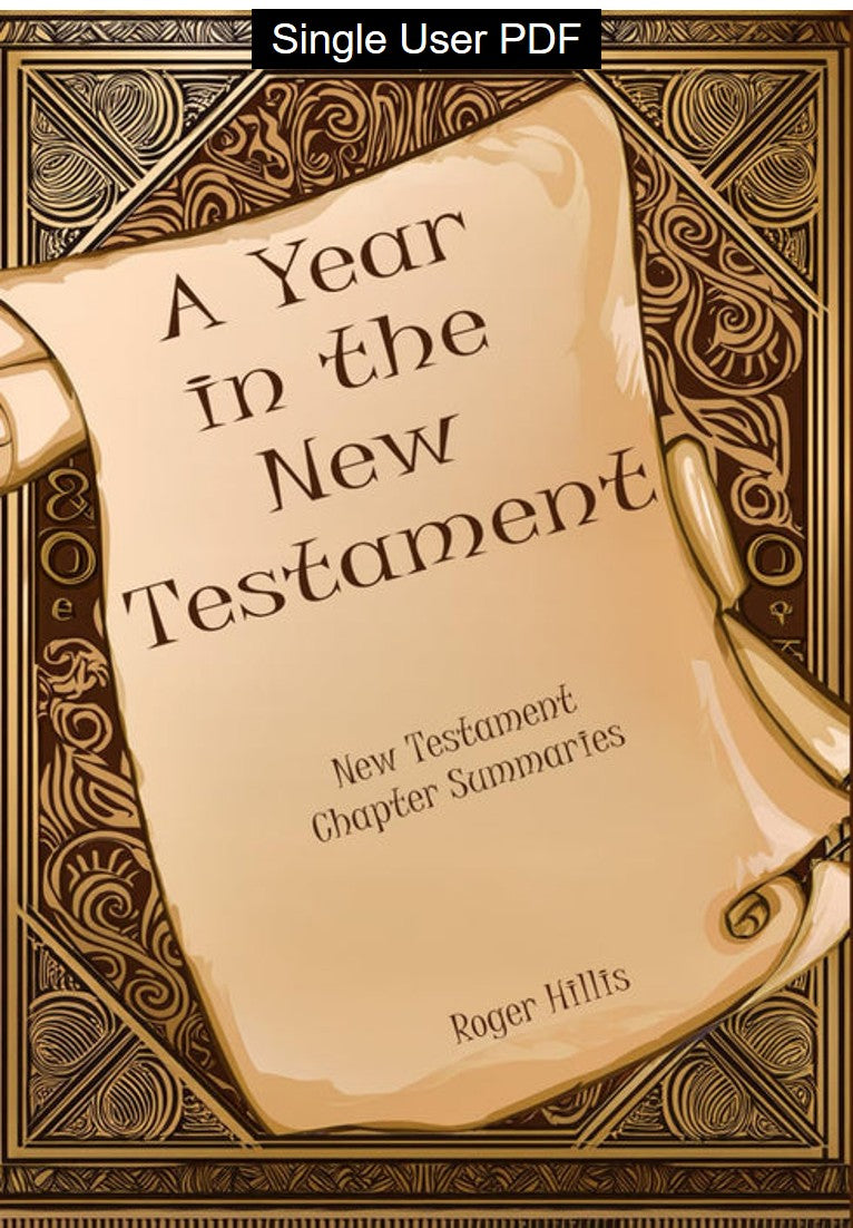A Year in the New Testament: New Testament Chapter Summaries