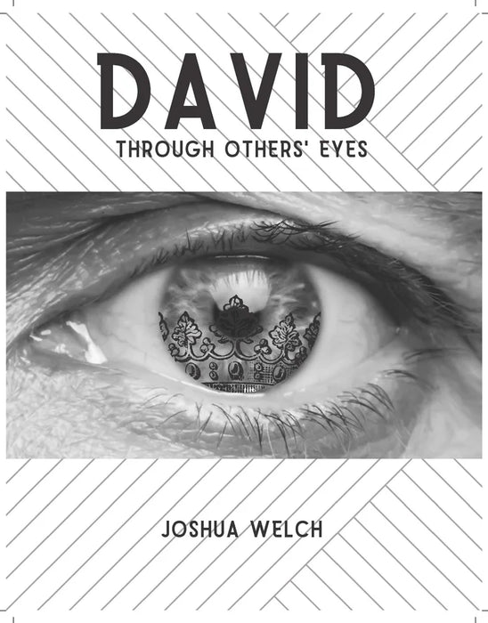 David Through Others' Eyes