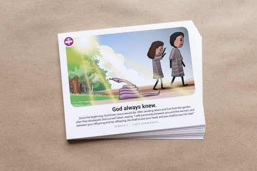 Creation to Revelation: Story of the Cross Flashcards