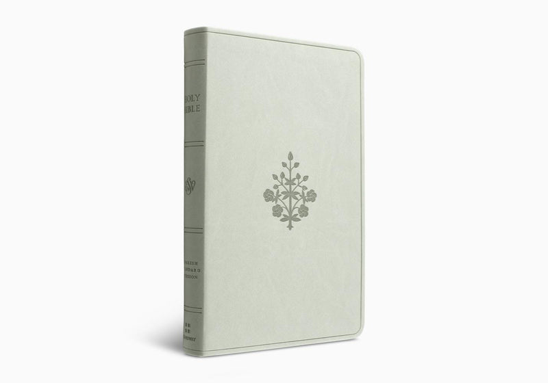 ESV Large Print Value Thinline Bible,  River Stone Trutone