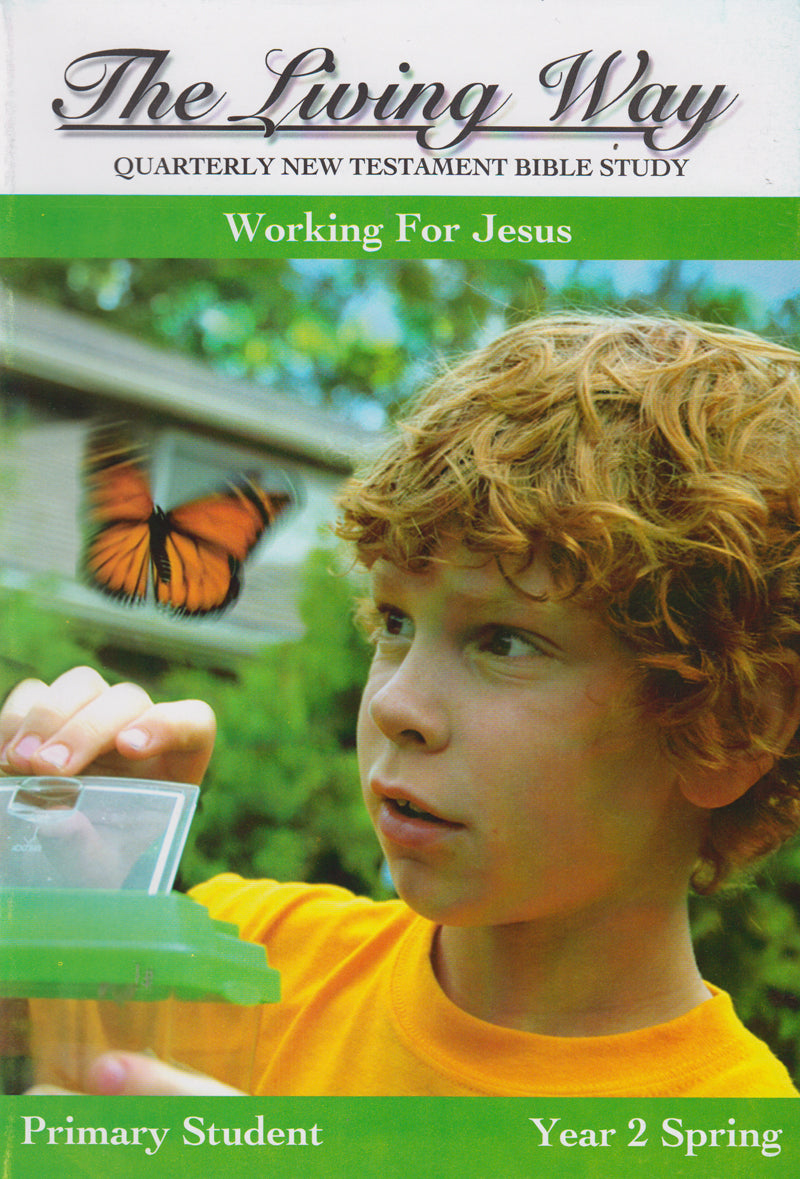 Primary 2:3 - Working for Jesus