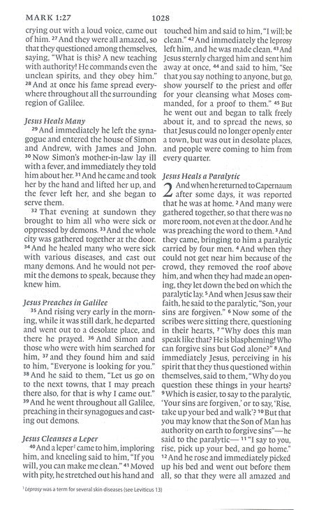 ESV Large Print Value Thinline Bible,  Turquoise Trutone