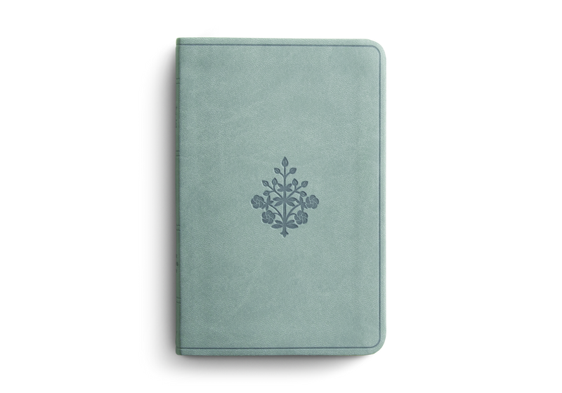 ESV Value Compact Bible Paris Sky TruTone