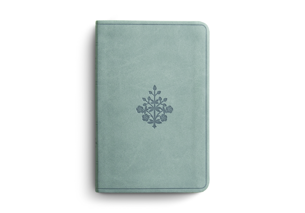 ESV Value Compact Bible Paris Sky TruTone