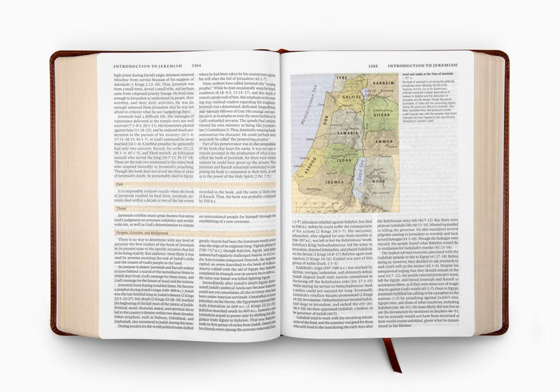 ESV Study Bible - Walnut TruTone