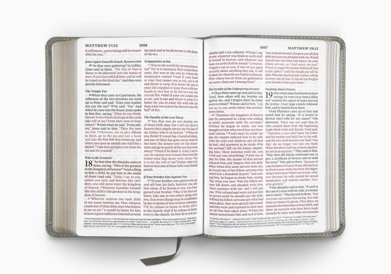 ESV Large Print Compact Bible Stone TruTone
