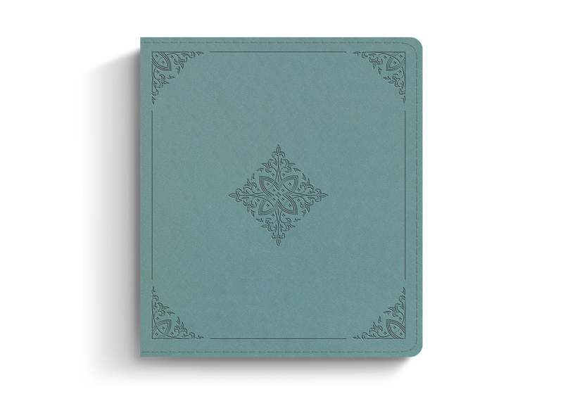 ESV Journaling Study Bible, Paris Sky TruTone over Board