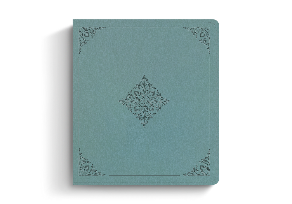 ESV Journaling Study Bible, Paris Sky TruTone over Board