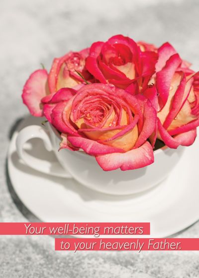 Boxed Cards - Steeped in Blessings - Get Well (os)