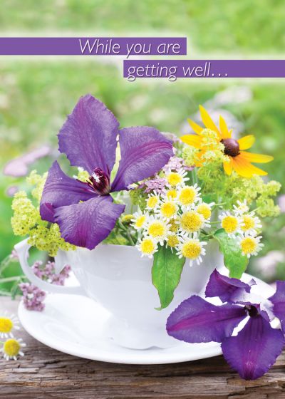 Boxed Cards - Steeped in Blessings - Get Well (os)