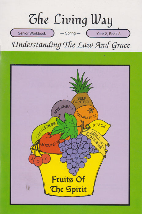 SENIOR 2-3 ST - Understanding The Law and Grace