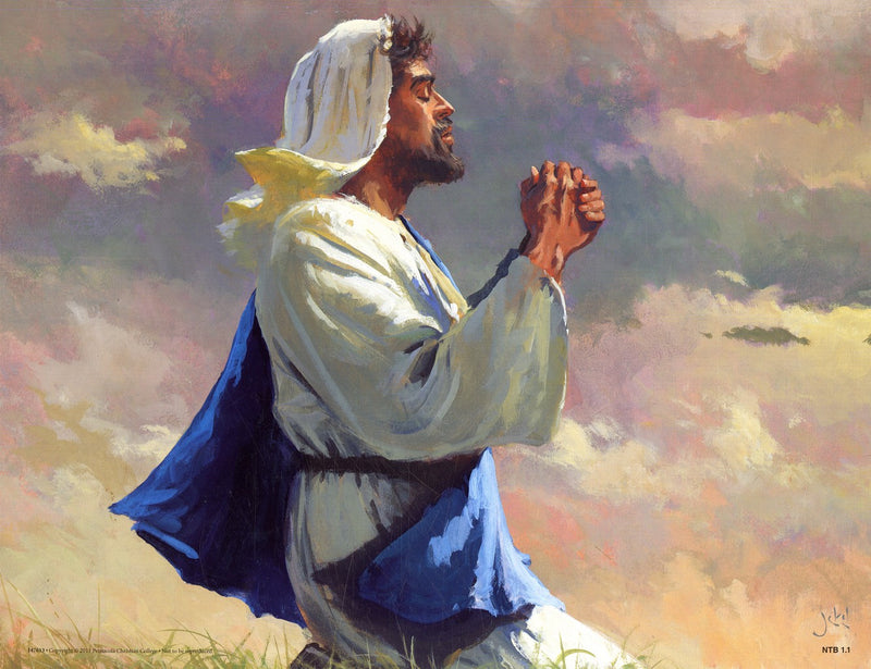 New Testament Stories Series 2 - Abeka Flash-A-Card