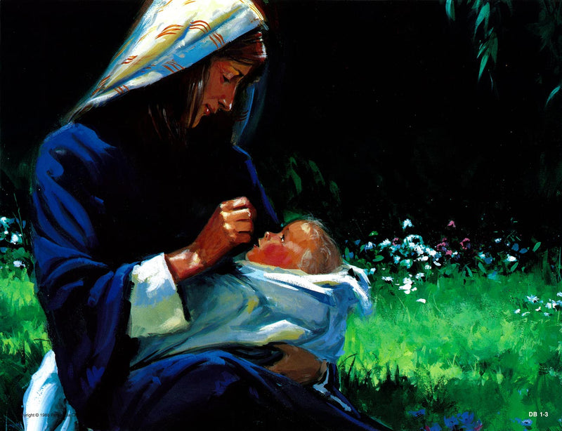 Life of Samuel - Abeka Flash-A-Card