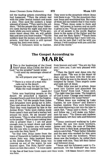 ICB Really Woolly Bible Pink