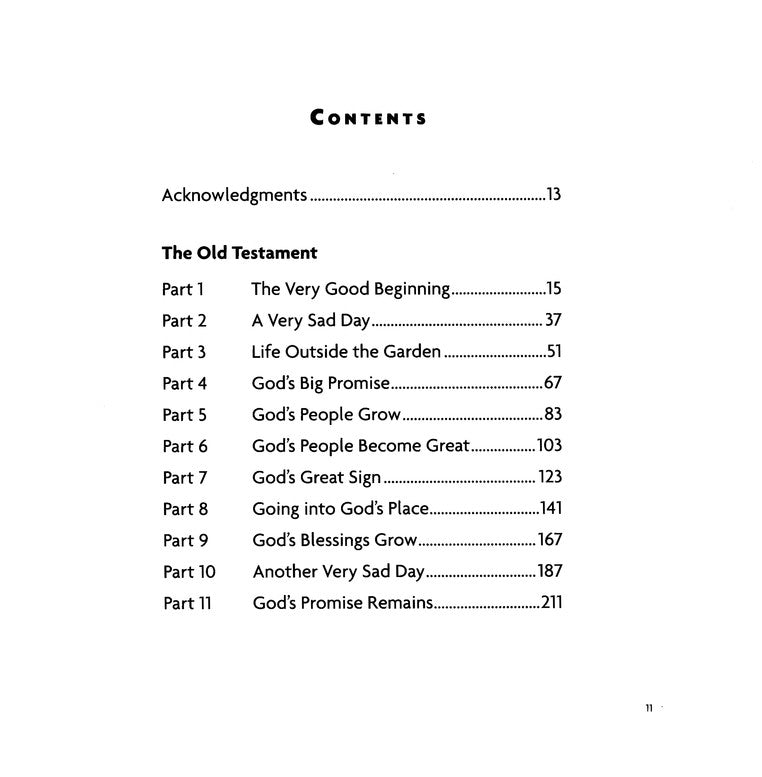 The Big Picture Story Bible, hardback