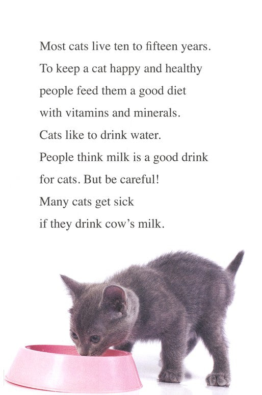 Cats, Dogs, Hamsters and Horses - I Can Read