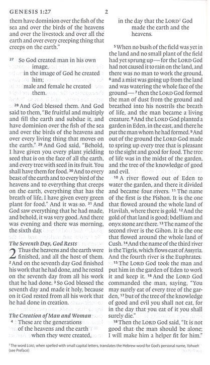 ESV Large Print Value Thinline Bible, Chestnut, Trutone