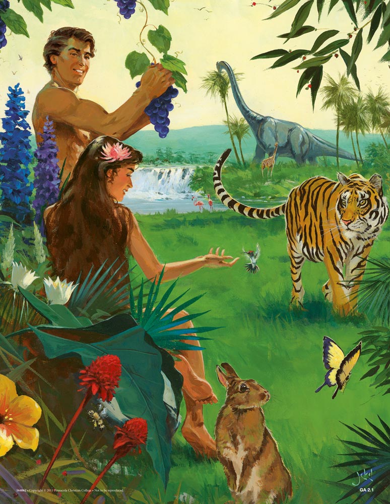 Creation, Adam, and Cain - Abeka Flash-A-Card