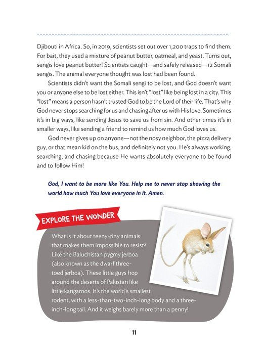 The Wonder of Creation: 100 More Devotions About God & Science