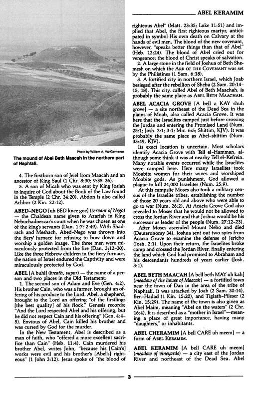 Nelson's Illustrated Dictionary of the Bible