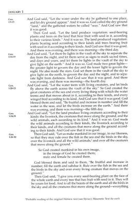 The Daily Bible - NIV (Paperback)