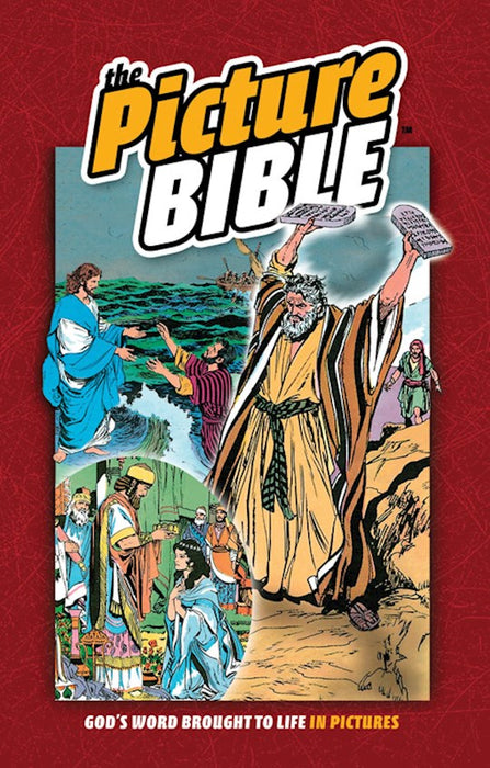 The Picture Bible - Hardcover