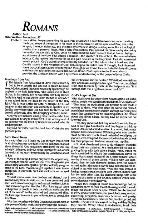 NLT Gift and Award Bible Burgundy