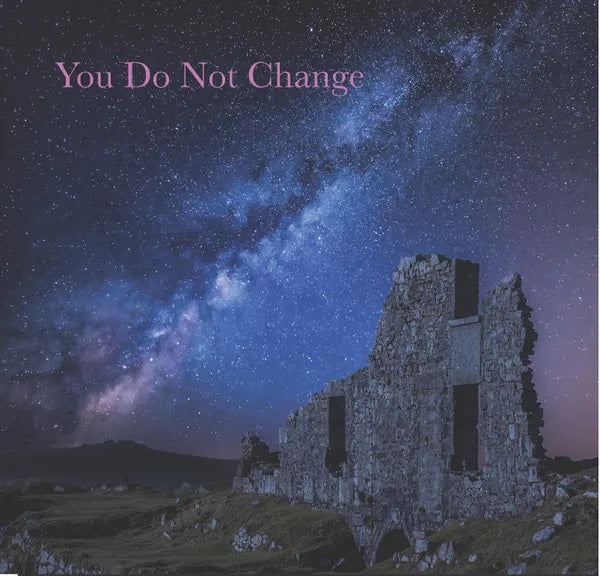 You Do Not Change - Sumphonia CD