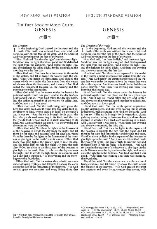 Essential Evangelical Parallel Bible - Hardcover