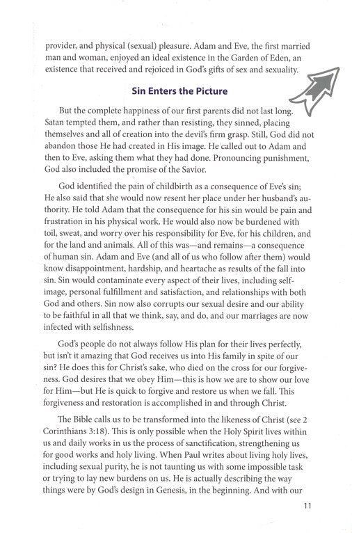 Love, Sex and God - Boys Edition - Learning About Sex Series Ages 14 & up