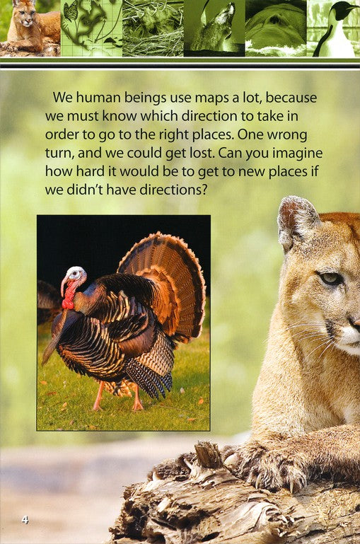 Amazing Migrating Animals Designed By God Advanced Reader Series (top)